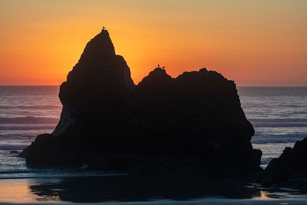 Haney, Chuck 아티스트의 Humbug Point at sunset near Cannon Beach-Oregon-USA작품입니다.